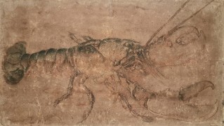 Verlängert: Albrecht Dürer im Berliner Kulturforum